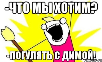 -Что мы хотим? -Погулять с Димой!, Мем кто мы чего мы хотим