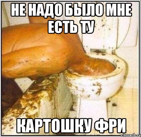 Не надо было мне есть ту картошку фри, Мем Дайвер