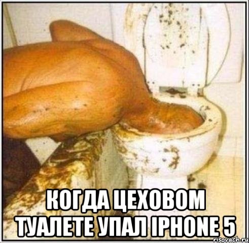  когда цеховом туалете упал iPhone 5, Мем Дайвер