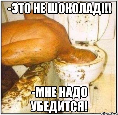 -это не шоколад!!! -мне надо убедится!, Мем Дайвер