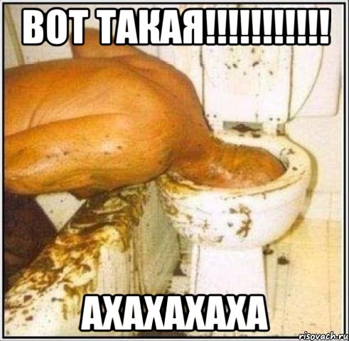 Вот такая!!!!!!!!!!! ахахахаха, Мем Дайвер