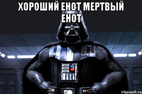 Хороший Енот мертвый Енот , Мем Дарт Вейдер