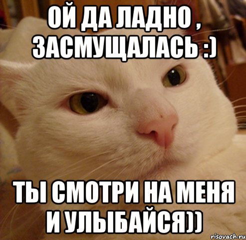 Ой да ладно , засмущалась :) Ты смотри на меня и улыбайся)), Мем Дерзкий котэ