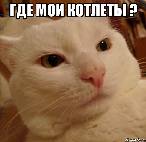 где мои котлеты ? , Мем Дерзкий котэ