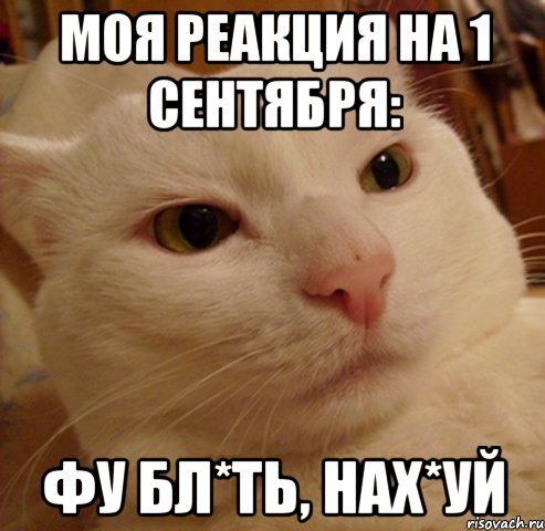 МОЯ РЕАКЦИЯ НА 1 СЕНТЯБРЯ: ФУ БЛ*ТЬ, НАХ*УЙ, Мем Дерзкий котэ