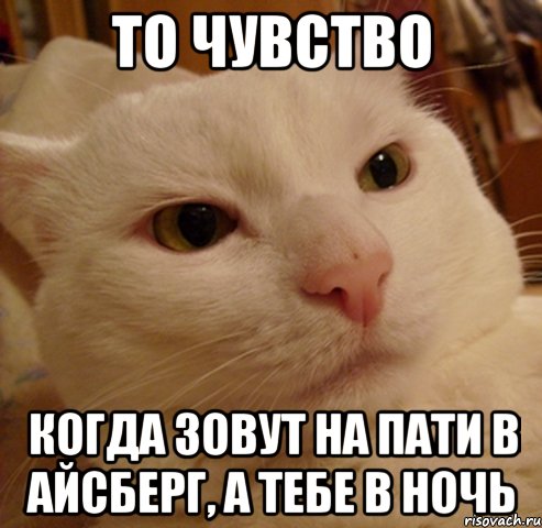 ТО Чувство Когда зовут на пати в Айсберг, а тебе в ночь, Мем Дерзкий котэ