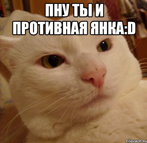 пну ты и противная янка:D , Мем Дерзкий котэ