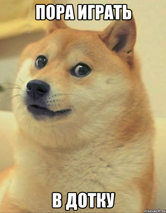 Пора играть в дотку, Мем doge woof