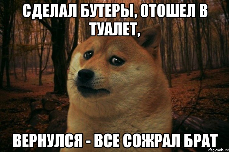 Сделал бутеры, отошел в туалет, вернулся - все сожрал брат, Мем SAD DOGE