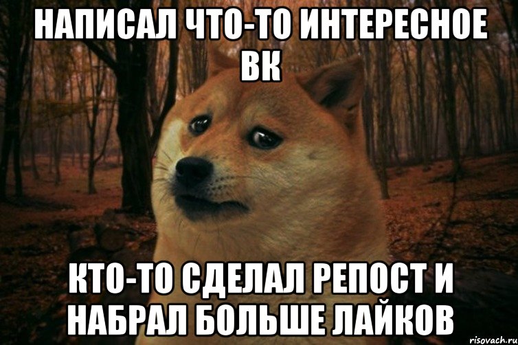 Написал что-то интересное ВК кто-то сделал репост и набрал больше лайков, Мем SAD DOGE