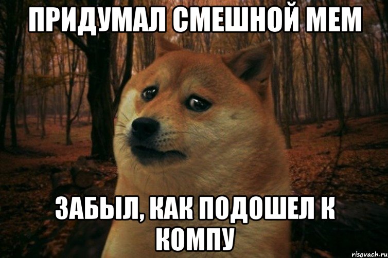 Придумал смешной мем забыл, как подошел к компу, Мем SAD DOGE