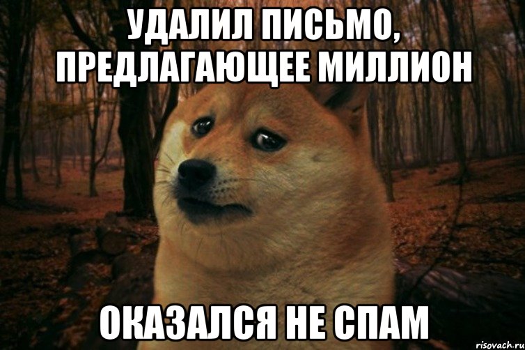 Удалил письмо, предлагающее миллион оказался не спам, Мем SAD DOGE