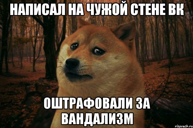 Написал на чужой стене ВК оштрафовали за вандализм, Мем SAD DOGE