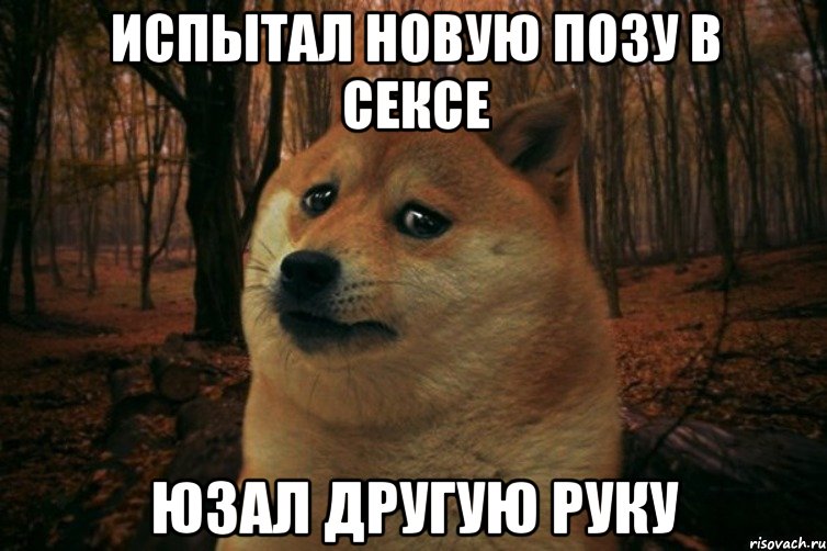 Испытал новую позу в сексе юзал другую руку, Мем SAD DOGE