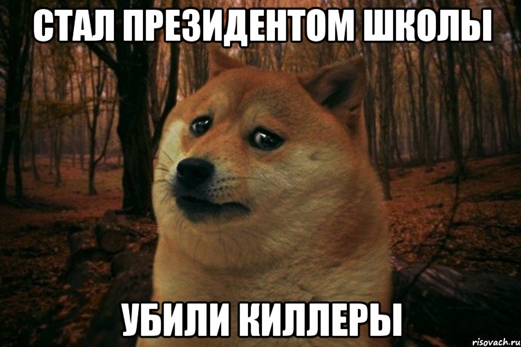 Стал президентом школы убили киллеры, Мем SAD DOGE