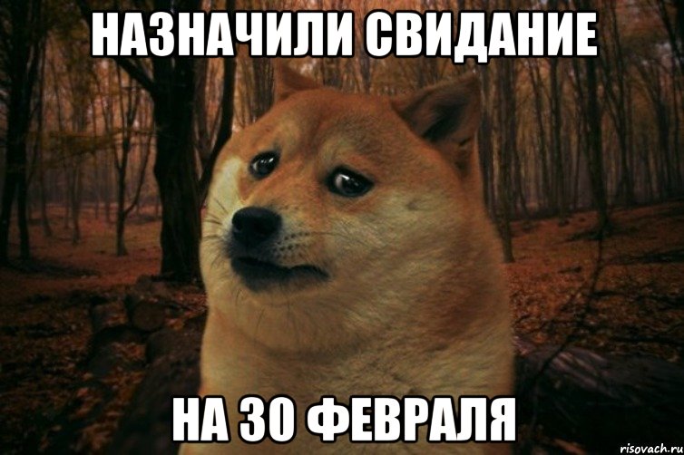 Назначили свидание на 30 февраля, Мем SAD DOGE