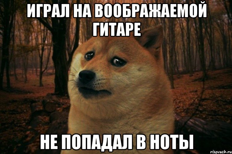 Играл на воображаемой гитаре не попадал в ноты, Мем SAD DOGE