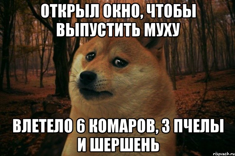 Открыл окно, чтобы выпустить муху влетело 6 комаров, 3 пчелы и шершень, Мем SAD DOGE