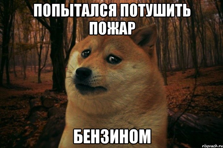 попытался потушить пожар бензином, Мем SAD DOGE