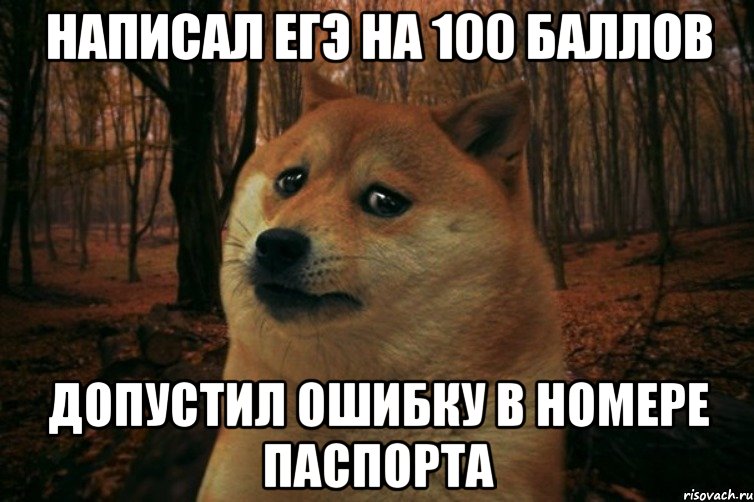 написал егэ на 100 баллов допустил ошибку в номере паспорта, Мем SAD DOGE