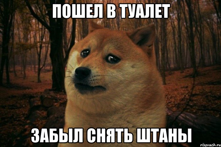 пошел в туалет забыл снять штаны, Мем SAD DOGE