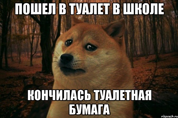 пошел в туалет в школе кончилась туалетная бумага, Мем SAD DOGE