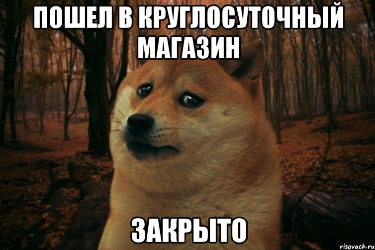 пошел в круглосуточный магазин закрыто, Мем SAD DOGE