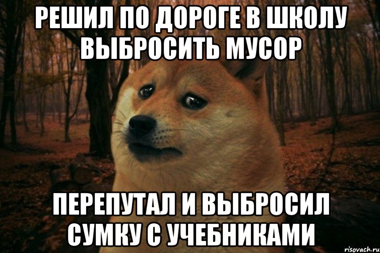 решил по дороге в школу выбросить мусор перепутал и выбросил сумку с учебниками, Мем SAD DOGE