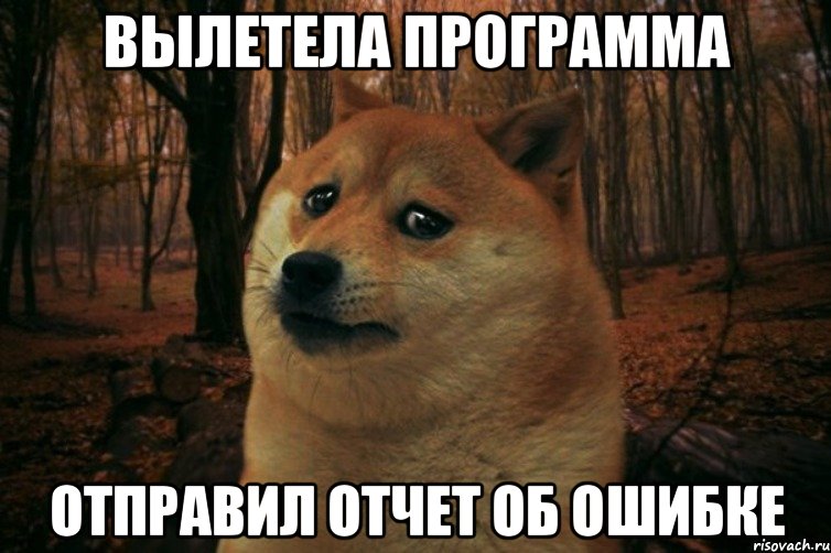 вылетела программа отправил отчет об ошибке, Мем SAD DOGE