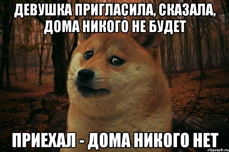 девушка пригласила, сказала, дома никого не будет приехал - дома никого нет, Мем SAD DOGE