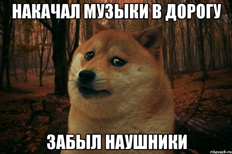 накачал музыки в дорогу забыл наушники, Мем SAD DOGE