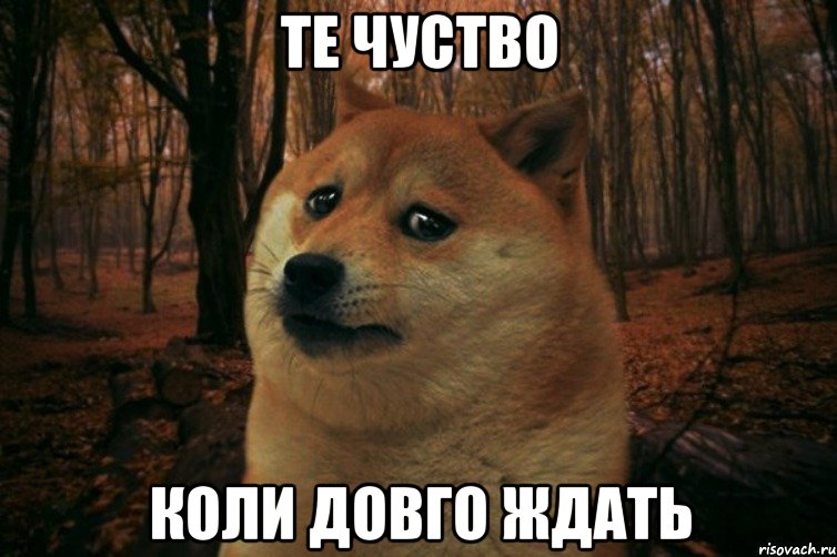 те чуство коли довго ждать, Мем SAD DOGE