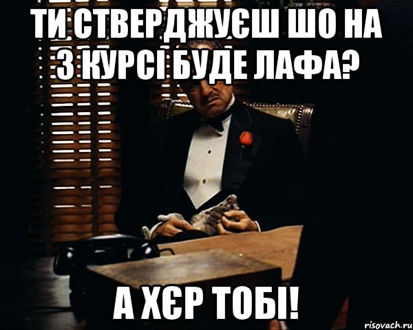 ти стверджуєш шо на 3 курсі буде лафа? а хєр тобі!, Мем Дон Вито Корлеоне