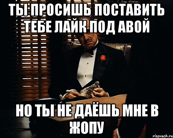 ты просишь поставить тебе лайк под авой но ты не даёшь мне в жопу, Мем Дон Вито Корлеоне