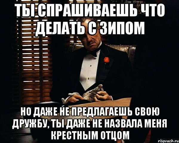 Ты спрашиваешь что делать с ЗИПом но даже не предлагаешь свою дружбу, ты даже не назвала меня Крестным Отцом, Мем Дон Вито Корлеоне