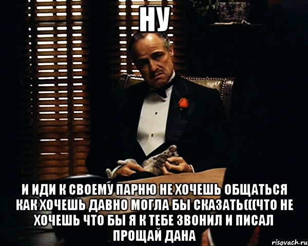 ну и иди к своему парню не хочешь общаться как хочешь давно могла бы сказать(((что не хочешь что бы я к тебе звонил и писал прощай Дана, Мем Дон Вито Корлеоне