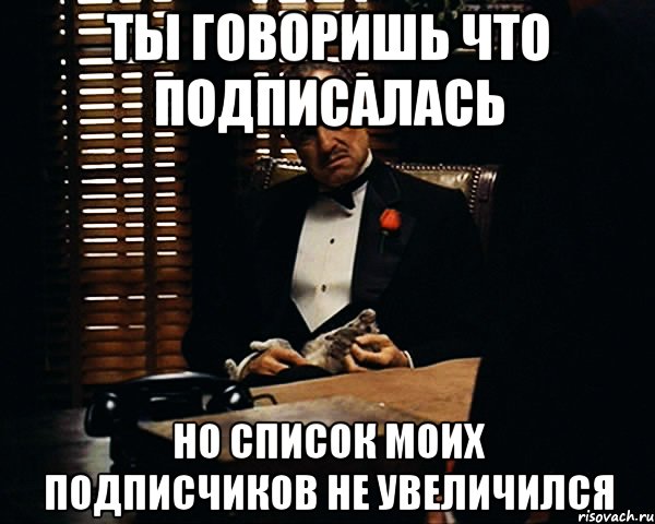 Ты говоришь что подписалась но список моих подписчиков не увеличился, Мем Дон Вито Корлеоне