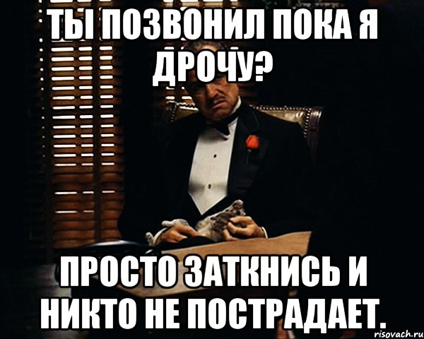 Ты позвонил пока я дрочу? Просто заткнись и никто не пострадает., Мем Дон Вито Корлеоне