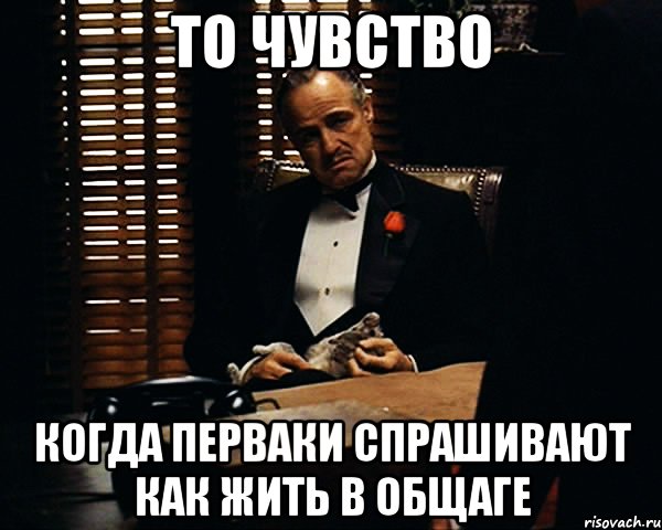 То чувство когда перваки спрашивают как жить в общаге, Мем Дон Вито Корлеоне