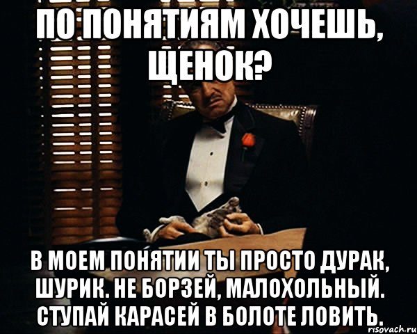 По понятиям хочешь, щенок? В моем понятии ты просто дурак, шурик. Не борзей, малохольный. Ступай карасей в болоте ловить., Мем Дон Вито Корлеоне