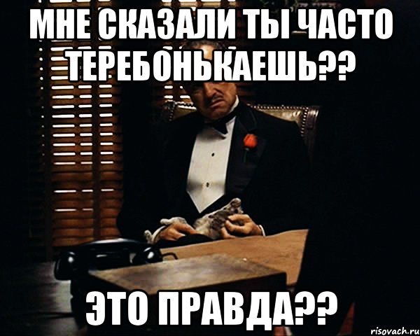 мне сказали ты часто теребонькаешь?? это правда??, Мем Дон Вито Корлеоне