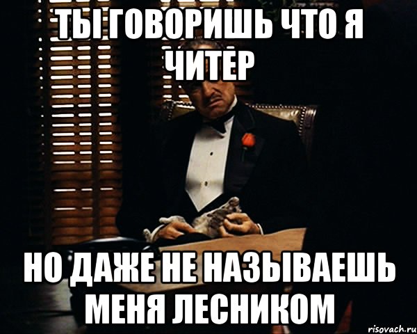 Ты говоришь что я читер Но даже не называешь меня лесником, Мем Дон Вито Корлеоне