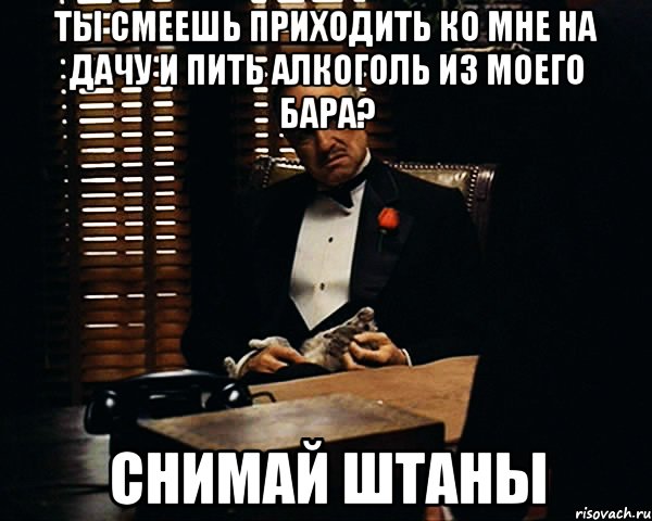 Ты смеешь приходить ко мне на дачу и пить алкоголь из моего бара? СНИМАЙ ШТАНЫ, Мем Дон Вито Корлеоне