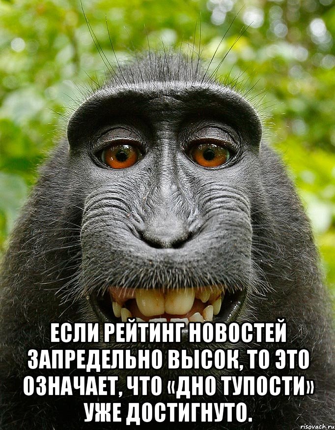  Если рейтинг новостей запредельно высок, то это означает, что «дно тупости» уже достигнуто., Мем  Довольная обезьяна