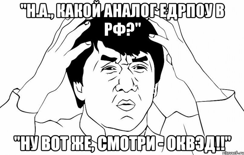 "Н.А., какой аналог ЕДРПОУ в РФ?" "ну вот же, смотри - ОКВЭД!!", Мем ДЖЕКИ ЧАН