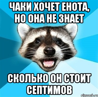 чаки хочет енота, но она не знает сколько он стоит септимов, Мем Енот-Каламбурист