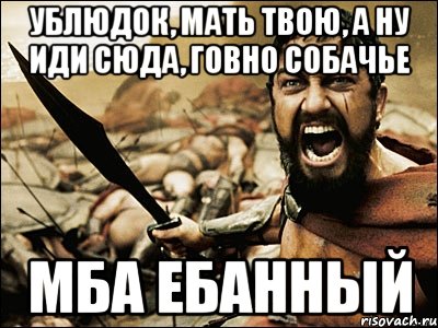 Ублюдок, мать твою, а ну иди сюда, говно собачье МБА ЕБАННЫЙ, Мем Это Спарта