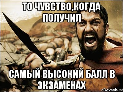 То чувство,когда получил самый высокий балл в экзаменах, Мем Это Спарта