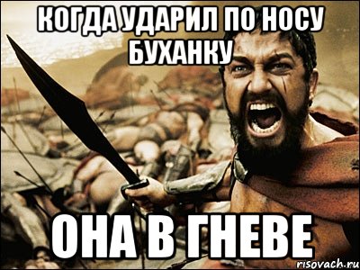 когда ударил по носу буханку она в гневе, Мем Это Спарта