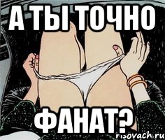 а ты точно фанат?, Мем А ты точно